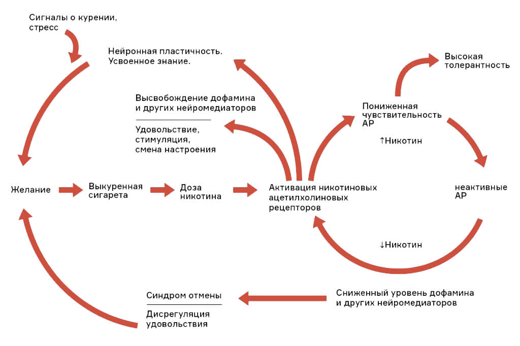 Проблемы со стулом после бросания курить